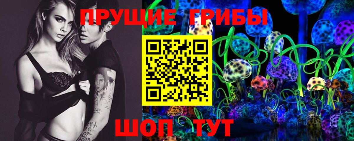 Галлюциногенные грибы GOLDEN TEACHER Тихвин