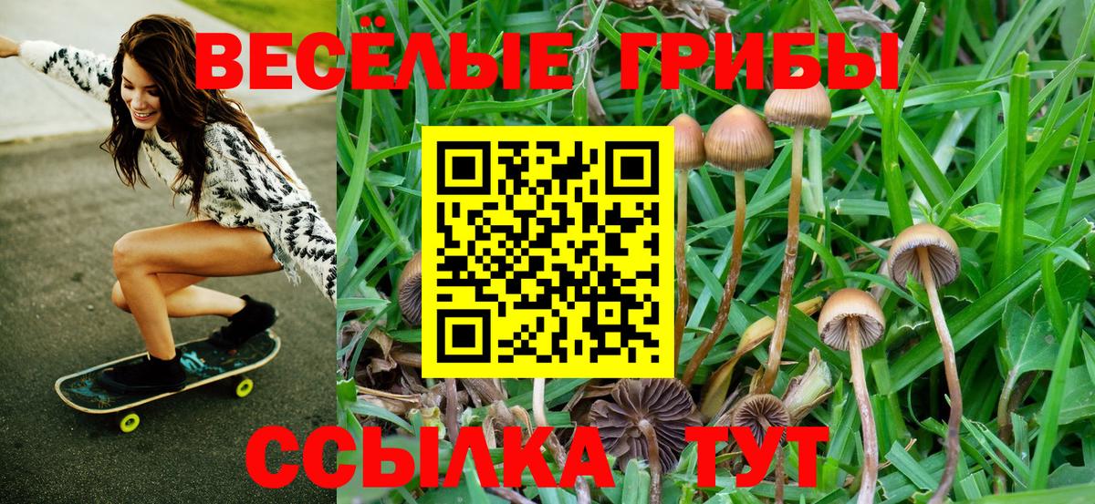 Галлюциногенные грибы мухоморы  Вход с VPN  Галлюциногенные грибы GOLDEN TEACHER  Тихвин 